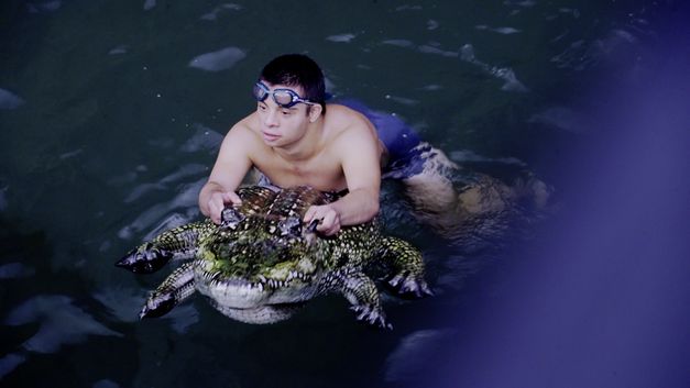 Still from the film "Super Natural". A person with swimming trunks and goggles paddles in a body of water on top of an inflatable crocodile. 