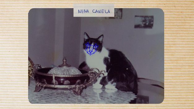 An old photograph of a cat with the name Nena Calena written in pen above it. On the cat’s face we see blue lines mimicking facial recognition software.