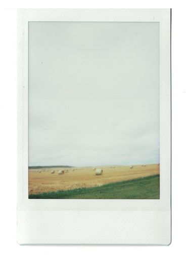 Polaroid von Heuballen auf einem Feld vor einem weiten.