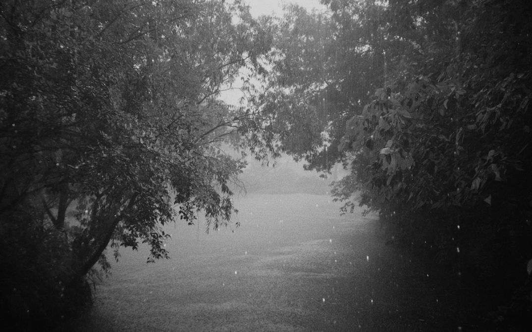Film still from JET LAG: View of a landscape with trees and a body of water.