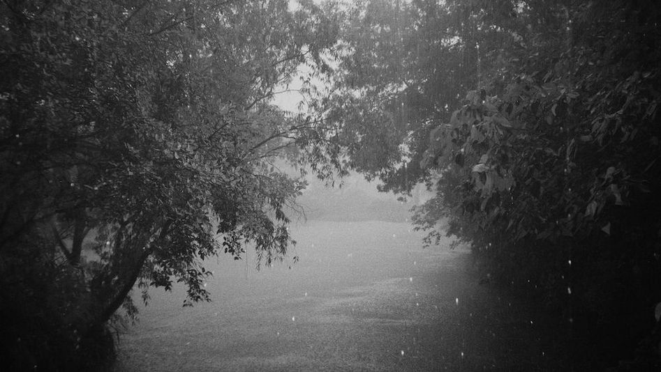 Film still from JET LAG: View of a landscape with trees and a body of water.