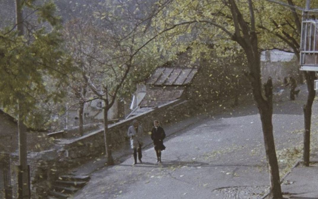 Film still from SOME INTERVIEWS ON PERSONAL MATTERS: A man and a woman walk along a tree-lined street.