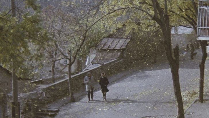 Film still from SOME INTERVIEWS ON PERSONAL MATTERS: A man and a woman walk along a tree-lined street.
