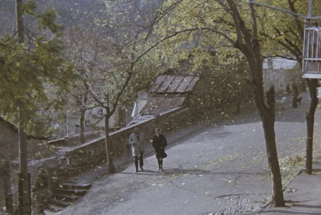 Film still from SOME INTERVIEWS ON PERSONAL MATTERS: A man and a woman walk along a tree-lined street.