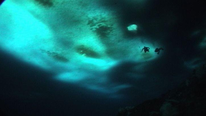 Film still from THE WILD BLUE YONDER: An underwater landscape in dark blue and turquoise. In the background you can see two people diving.
