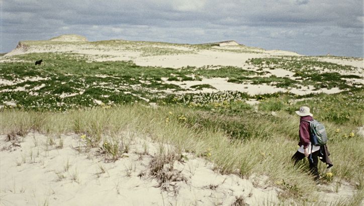 Still from the film "Geographies of Solitude" by Jacquelyn Mills. We see a woman with a maroon sweater and a beige bucket hat walking with her back turned through a grassy and sandy landscape. 