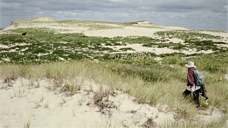 Filmstill aus „Geographies of Solitude“ von Jacquelyn Mills. In einer Dünenlandschaft in der Sonne läuft eine Frau. Sie trägt eine dunkelrote Windjacke, einen Rucksack und einen Fischerhut.