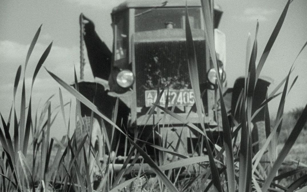 Film still from NATUR IN GEFAHR: A tractor driving through a field shown through the plants growing in the field.