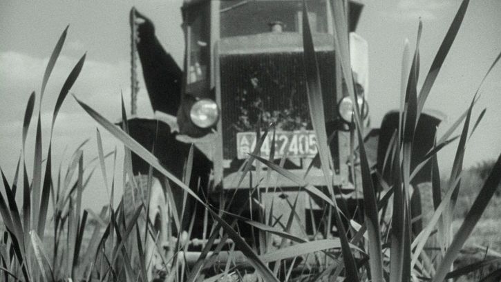 Film still from NATUR IN GEFAHR: A tractor driving through a field shown through the plants growing in the field.