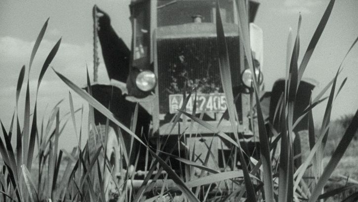 Film still from NATUR IN GEFAHR: A tractor driving through a field shown through the plants growing in the field.