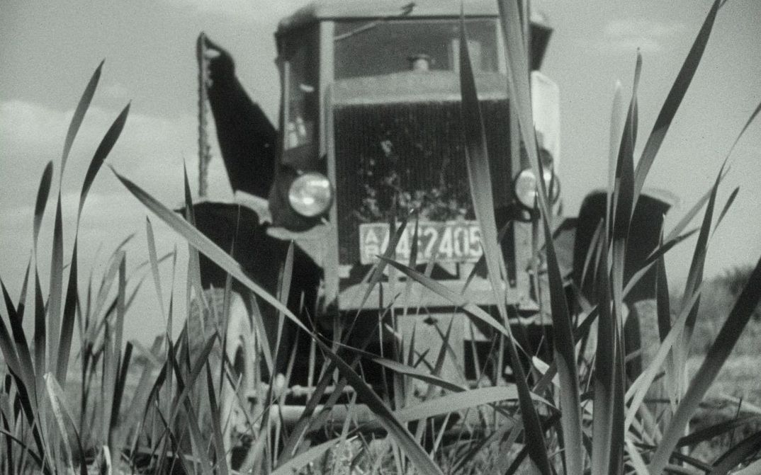 Filmstill aus NATUR IN GEFAHR: Ein Traktor fährt durch ein Feld und wird durch die angebauten Pflanzen hindurch abgebildet.