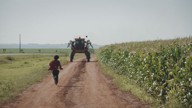 Still from the film "The Path Is Made by Walking" by Paula Gaitán. A dirt road next to a field on which a person is walking and a cart is driving.