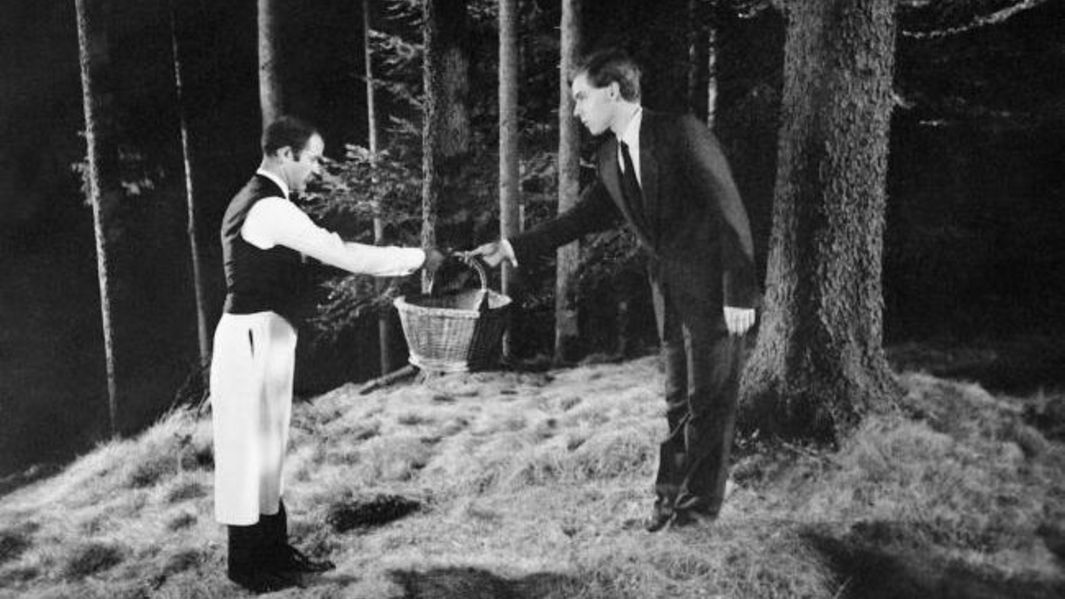 Film still from KLASSENVERHÄLTNISSE: In the middle of a forest, a man wearing a waiter