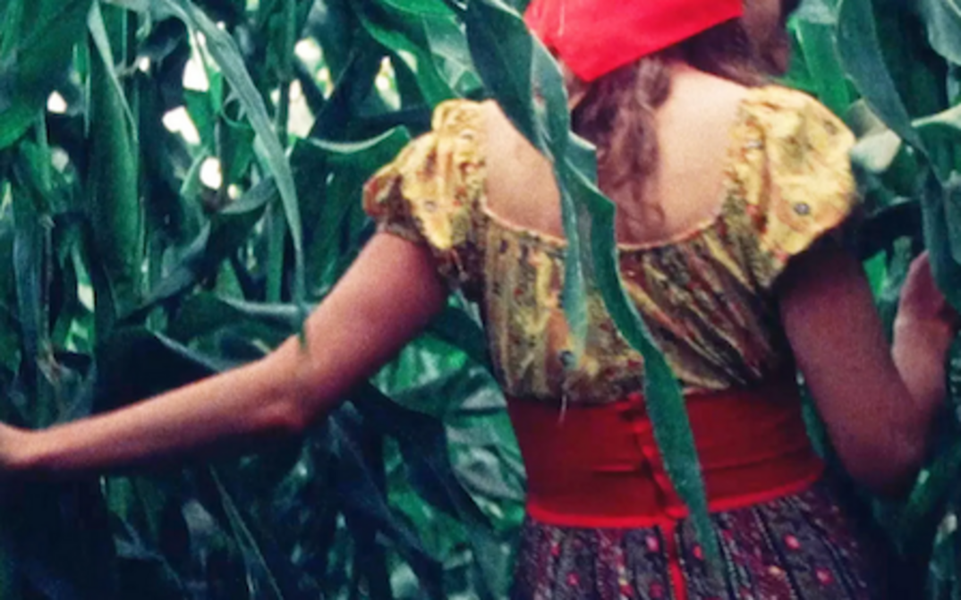 Filmstill aus SUSAN THROUGH THE CORN: Eine Frau geht durch ein Maisfeld. Man sieht sie von hinten, sie trägt bunte Kleider.