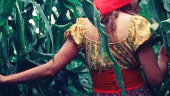 Filmstill aus SUSAN THROUGH THE CORN: Eine Frau geht durch ein Maisfeld. Man sieht sie von hinten, sie trägt bunte Kleider.