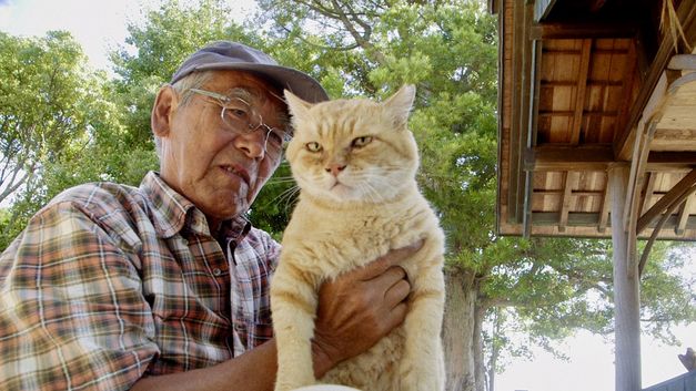 Filmstill aus "Gokogu no Neko" von Kazuhiro Soda. Zu sehen ist ein Mann, der aus der Perspektive des Frosches eine Katze hält. Über ihm ist ein Blätterdach zu sehen.