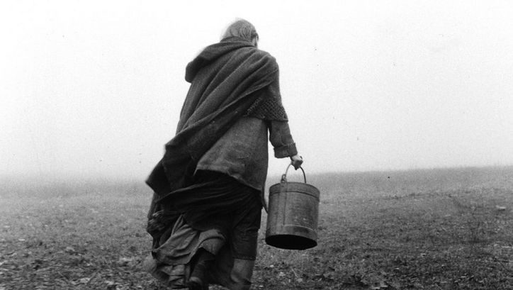 Film still from DAS TURINER PFERD: You see a person from behind carrying a bucket across a field.
