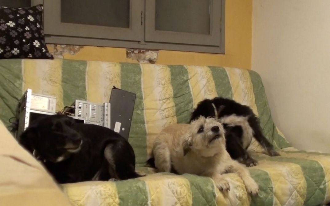 Stills QUÉ SERÁ DEL VERANO (What Will Summer Bring)