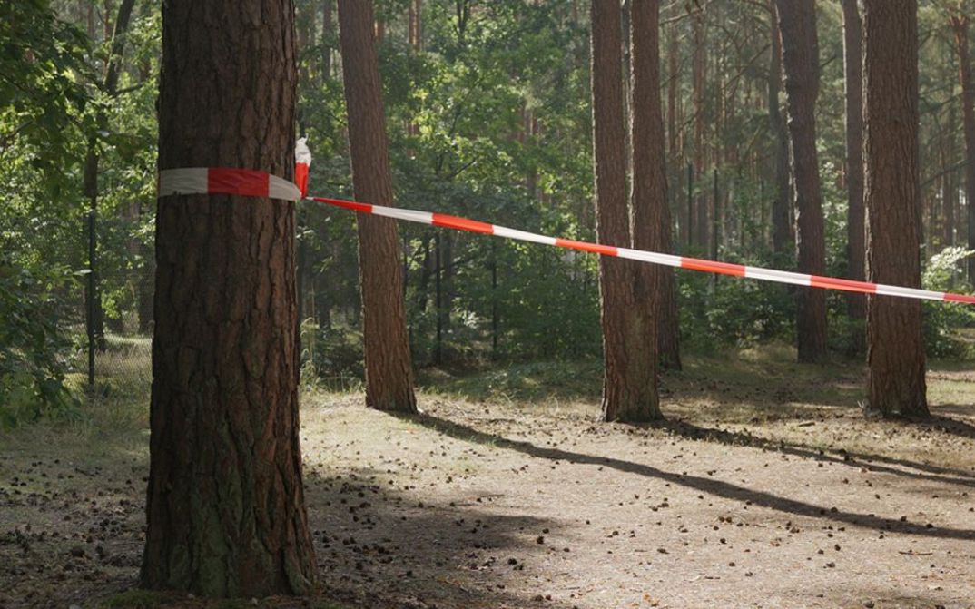 Film still from Feargal Ward’s film “Tin City”. A clearing surrounded by fencing, a construction banner is stretched between two pine trees, whose shadows extend across the dirt ground.