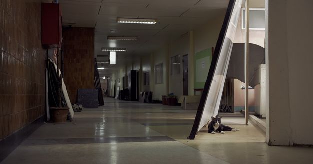 Still from the film "Scala" by Ananta Thitanat. We see an empty hall with boards leaning against walls, and a black and white cat laying on the ground.