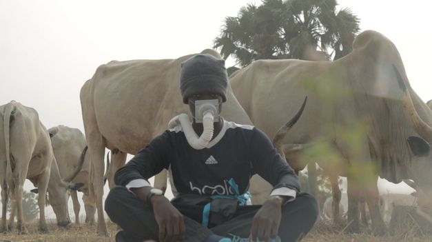 Person sitzt mit Atemmaske vor einer Gruppe von Rindern auf einem staubigen Feld, Tiere stehen dicht um sie herum.