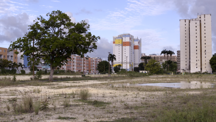Filmstill aus L’homme-vertige: Tales of a City: Man blickt auf eine etwas karge Landschaft mit vereinzelten Bäumen und großen Pfützen. Im Hintergrund sind Hochhäuser zu sehen, einige davon bunt bemalt.