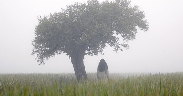 Still from the film "Memoryland" by Kim Quy Bui. We see a figure from a distance turned away underneath a large tree in a foggy, grassy field. 