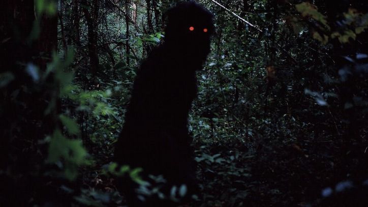 Film still from Uncle Boonmee Who Can Recall His Past Lives: A completely black figure with bright red eyes stands in a dense, dark forest.