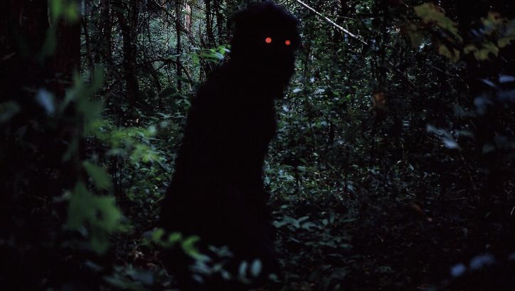 Filmstill aus Uncle Boonmee Who Can Recall His Past Lives: Eine komplett schwarze Gestalt mit leuchtend roten Augen steht in einem dichten, dunklen Wald.