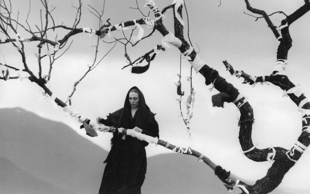 Filmstill aus DAY IS LONGER THAN NIGHT: Eine schwarz gekleidete Frau wickelt Bänder um die Äste eines Baums.