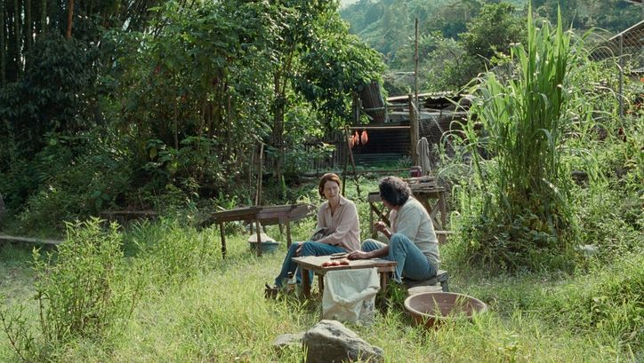 Film still from MEMORIA: Two people are sitting in a lush green garden.
