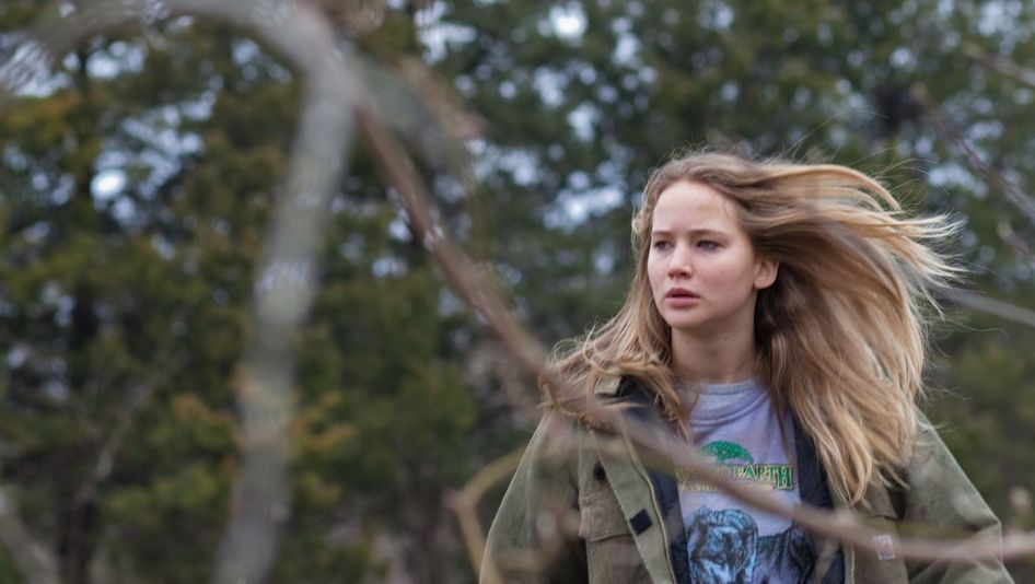 A young woman with long blonde hair and a determined expression stands among the trees; in the foreground of the picture, blurred branches can be seen.Film still from WINTER'S BONE: 