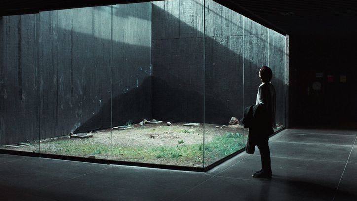 Filmstill aus MEMORIA: Eine Frau schaut auf einen Glaskasten. Durch einen Lichtschacht fällt Licht ein.