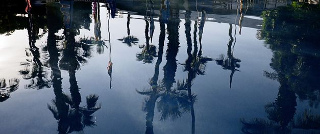 Eine Wasseroberfläche, auf der sich der blaue Himmel und die Palmen spiegeln. 