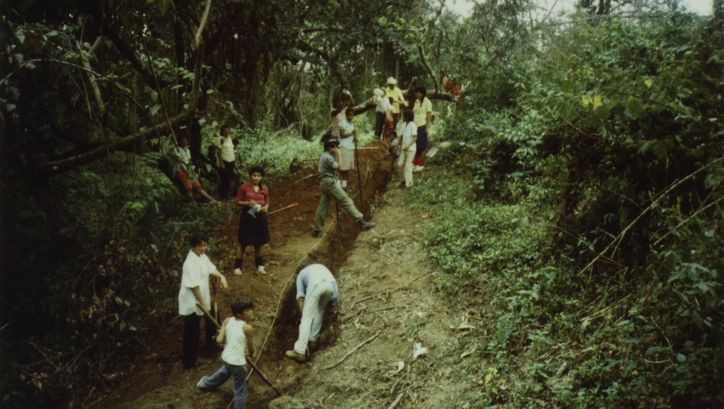 Filmstill aus BRIEFE AUS WIWILLI: Menschen graben eine Furche in einen Abhang. Um sie herum ist Wald.