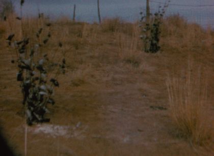 Filmstill aus "Techqua Ikachi, Land – mein Leben" von Anka Schmid, James Danaqyumptewa und Agnes Barmettler