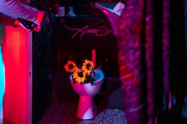 Eine Hinter-den-Kulissen-Aufnahme einer Toilettenschüssel in rotem und blauem Licht mit drei Sonnenblumen darin.