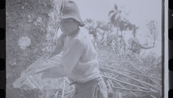 Film still: A man is cutting down a tree.