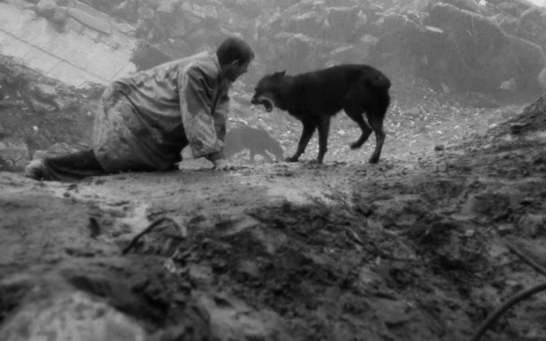 Film still from KÁRHOZAT: A man is on all fours on the bare earth, next to him a dog.