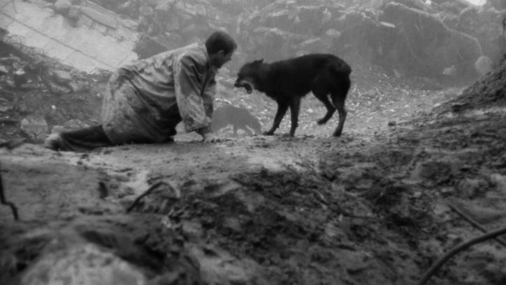Film still from KÁRHOZAT: A man is on all fours on the bare earth, next to him a dog.