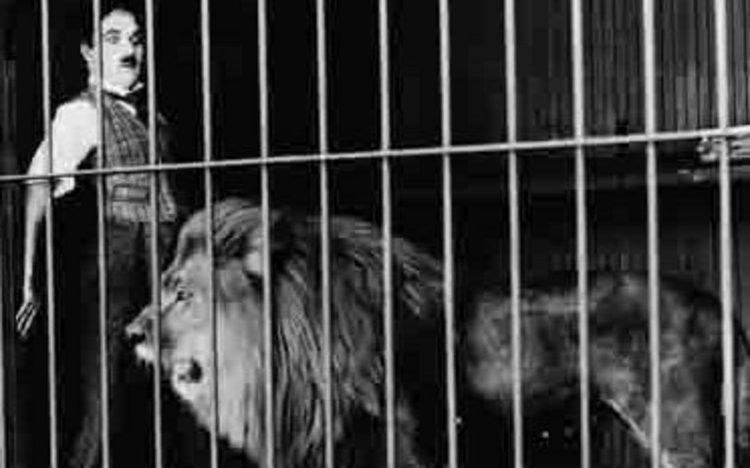 [Translate to English:] 