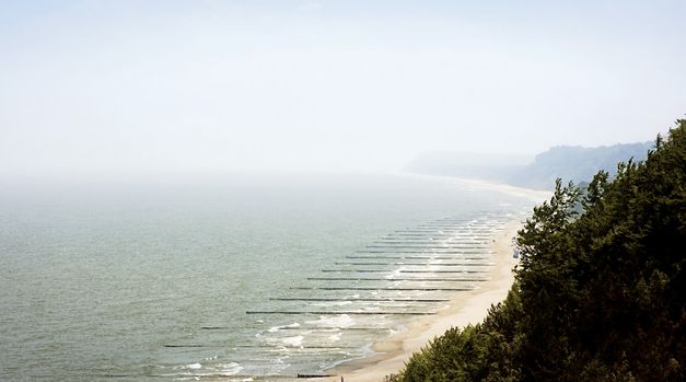 Still from the film "Gehen und Bleiben" by Volker Koepp. A misty image of a seashore with turquoise-grey water on the left handside, and a green forest on the right side.