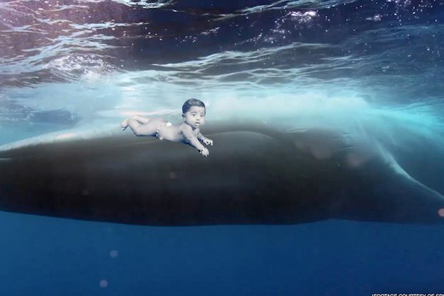 Filmstill aus dem Film „Desert Dreaming“ von Abdul Halik Azeez. Eine Unterwasseraufnahme eines aus einem Foto ausgeschnittenen Babys auf dem Rücken eines auftauchenden Wals.