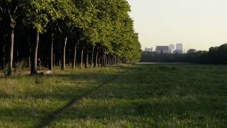Filmstill aus LE BOIS DANS LES RÊVES SONT FAITS: Ansicht einer Wiese, links zwei Reihen von Bäumen. Im Hintergrund sind Häuser zu sehen.