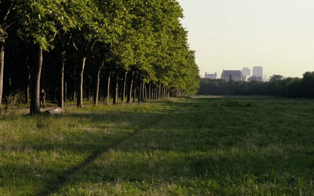 Film still from LE BOIS DANS LES RÊVES SONT FAITS: View of a meadow, on the left two rows of trees. In the background you can see houses.