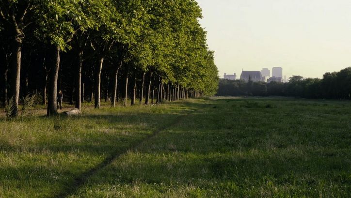 Film still from LE BOIS DANS LES RÊVES SONT FAITS: View of a meadow, on the left two rows of trees. In the background you can see houses.