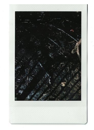 Polaroid of dark earth seen from above, with diagonal shadows.   