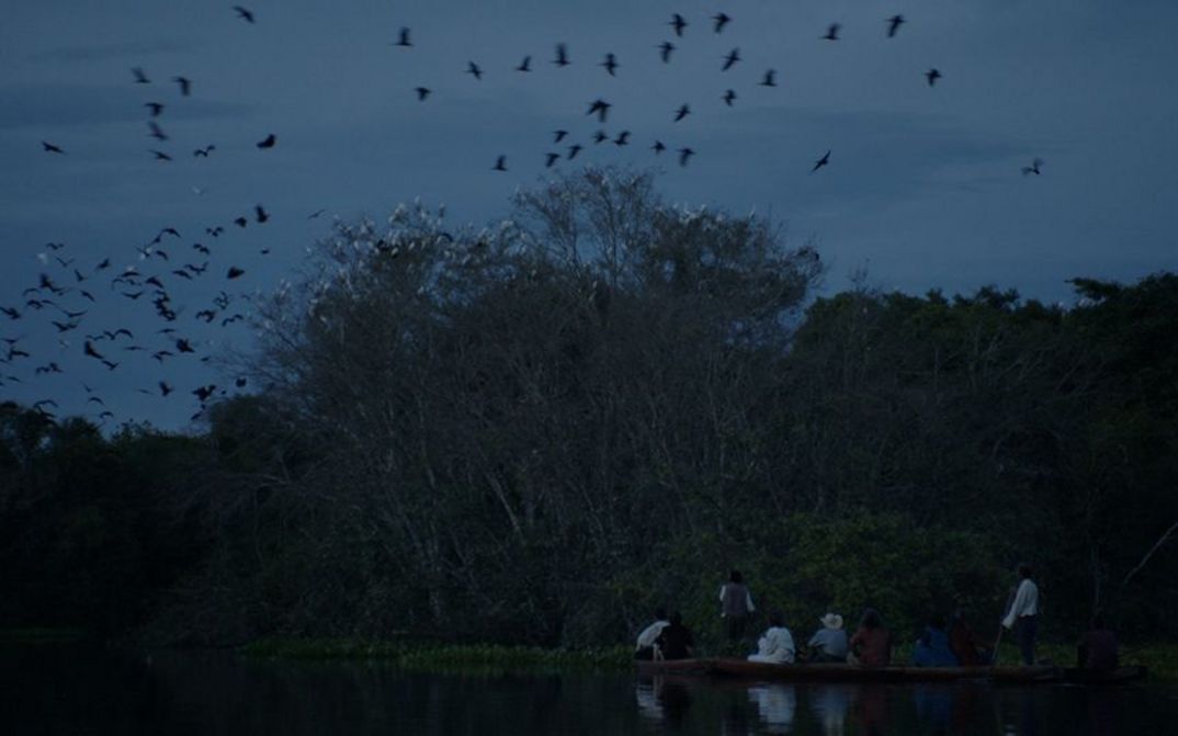 Film still from LUZ NOS TROPICOS. A river landscape with trees and birds flying in the sky.