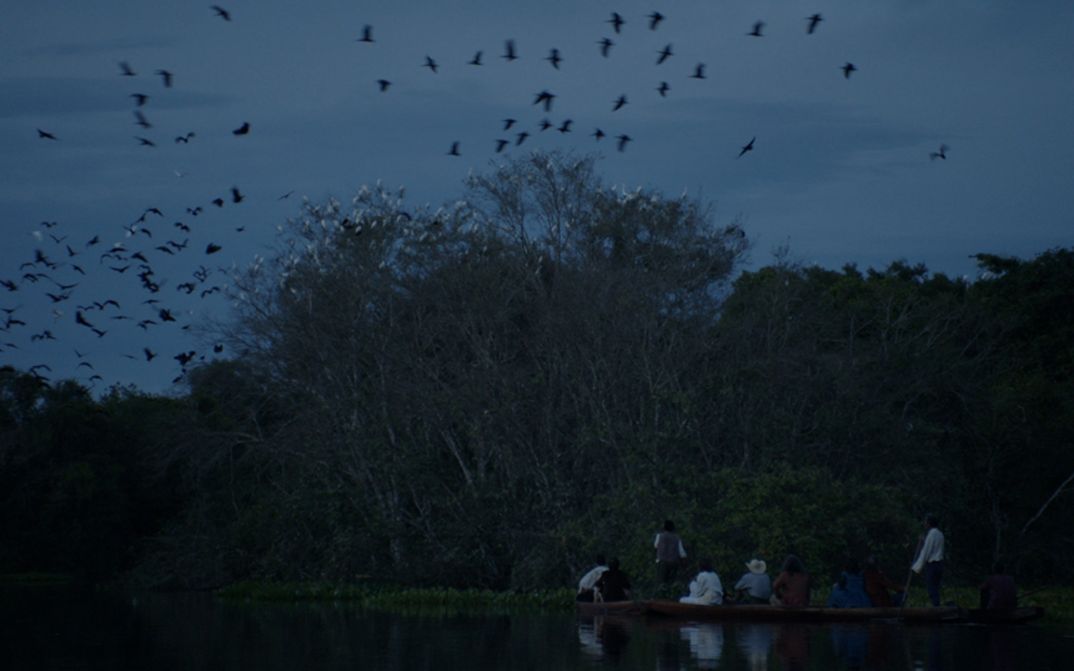 Film still from LUZ NOS TROPICOS. A river landscape with trees and birds flying in the sky.