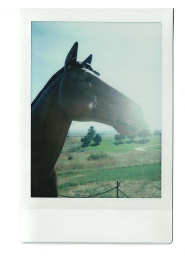 Polaroid of a life-sized, dark brown horse mannequin. 